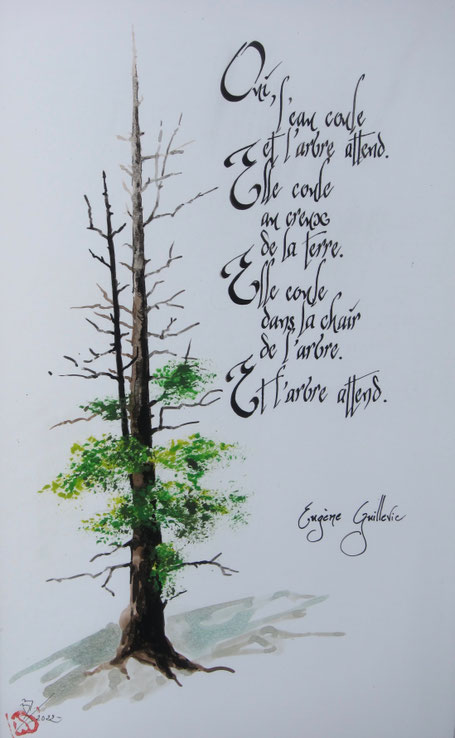 C389 - 30x60 - Encre 