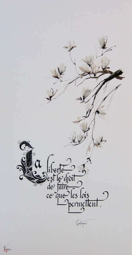 C243 - Encre - 1m20 x 50cm 