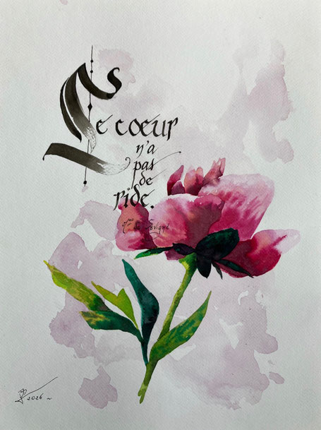 C234 - 40x30 - encre -