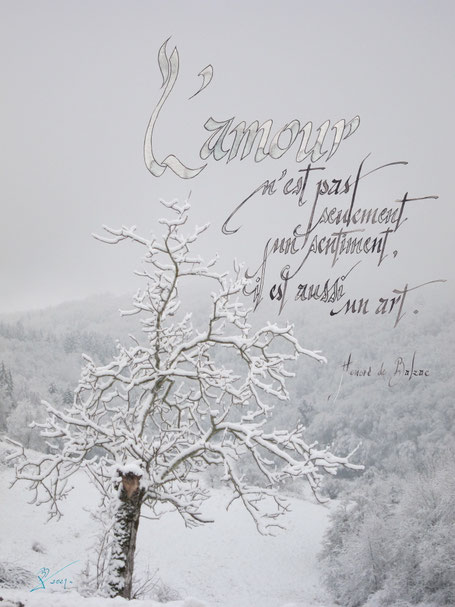 C299 - Photo et encre - 50x65 
