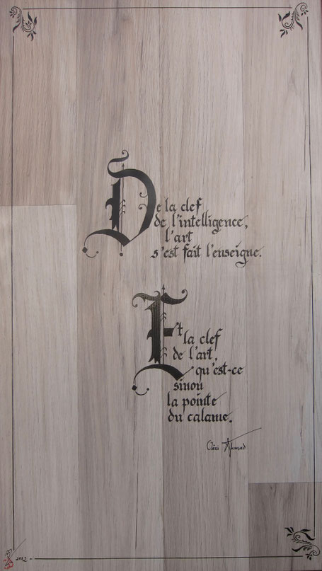 C46 - 70x40 - encre sur parquet 