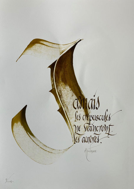 C316 - 50x70 - Encre 