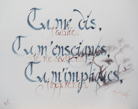 C298 - 65x50 - Encre 