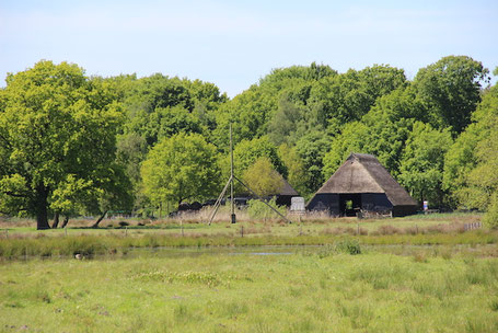 Schaapskooi op het Dwingelderveld