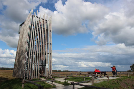 Uitkijken over het Dwingelderveld