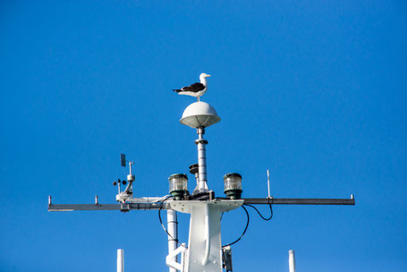 Eine Möwe sitzt auf dem oberen Radar- und Sensoraufbau eines Schiffes vor wolkenlosem, blauem Himmel.