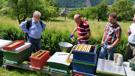 Sieben der Pflegebienen und Erstellen eines Ablegers