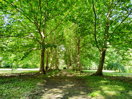 parc du prieuré Saint-Thomas à Epernon