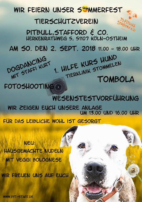 Sommerfest Bei Pitbull Stafford Co Tiertafel Rheinerft E V