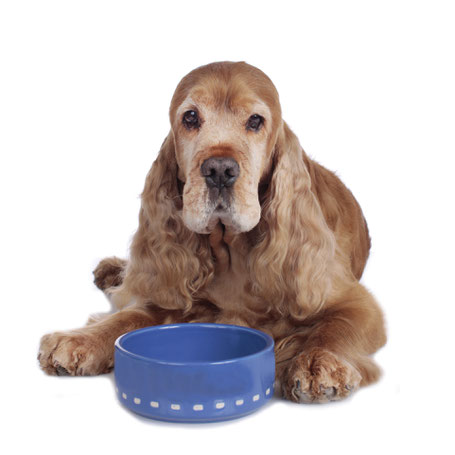 Foto: Fotolia