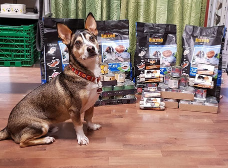Spike und die PetsNature-Spende 10 2017, Foto: Fabian