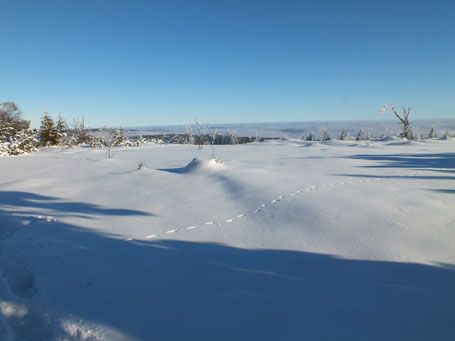 Fussspuren im Schnee, Hornisgrinde im Schwarzwald von B. Stahlberger
