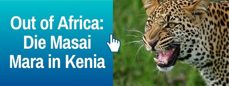 Reiseblog Der Travel Bloke Fernreisen: Masai Mara Kenia