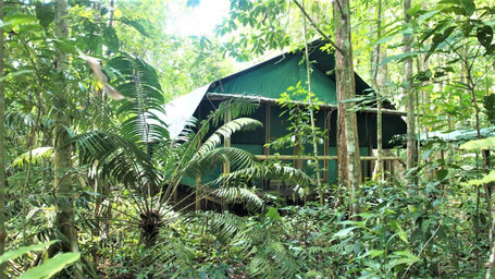 Cairns Hotels Empfehlung: © Daintree Crocodylus