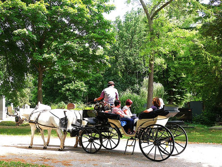 Wien Zentralfriedhof: Besichtigung mit Pferd und Kutsche