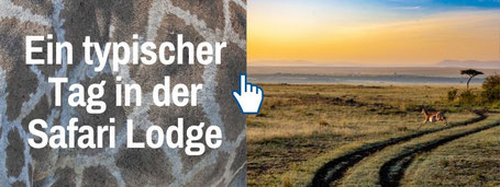 Reiseblog Der Travel Bloke Safari Reisen: Ein Tag in der Safari Lodge