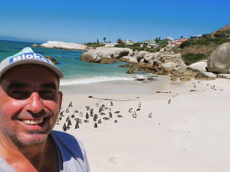 Reiseorte Südafrika: Pinguine am Boulders Beach