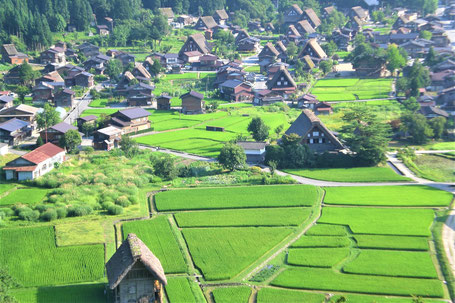 Beliebte Reiseziele in Japan: Bergdorf Shirakawa-go in den Japanischen Alpen