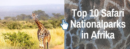Der Travel Bloke Reiseblog Safari Reisen: Beste Nationalparks Afrika