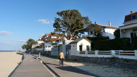 Along the beach