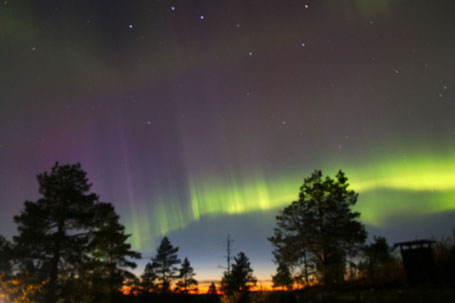Grüne Nordlichter über dem Himmel von Levi, der Horizont ist vom Sonnenuntergang ot gefärbt ©My own Travel
