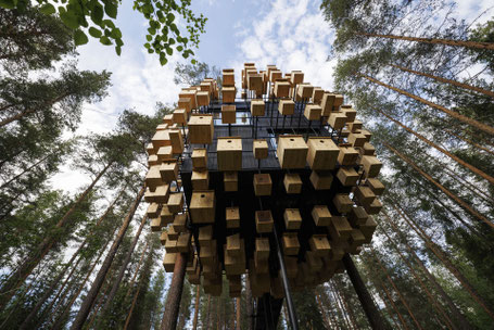 Biosphere Baumhaus ©Treehotel