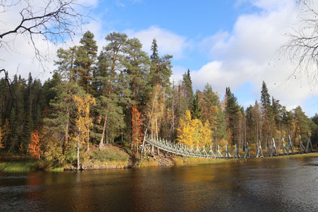 Fußgängerhängebrücke über ein ruhiges Gewässer auf der "Kleinen Bärenrunde" im herbstlich gefärbten Oulanka Nationalpark ©My own Travel