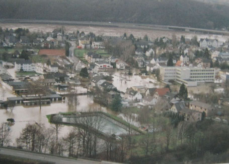 Hochwasseransicht vom Elsberg, 1995