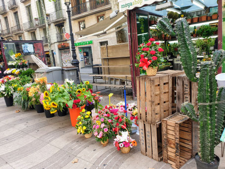 barcelone-ramblas