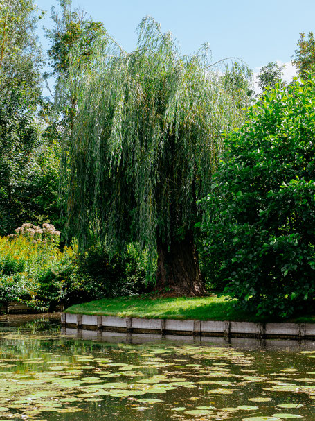 Hortillonnages, Amiens, Picardie