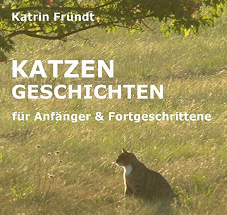 Katze, Anfänger, Fotgeschrittene, Katrin Fründt, Buch, Katze