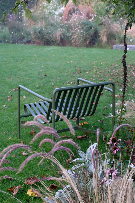 dieartigeGARTEN // Nebel im Herbstgarten - Waagerechte Herbstaster