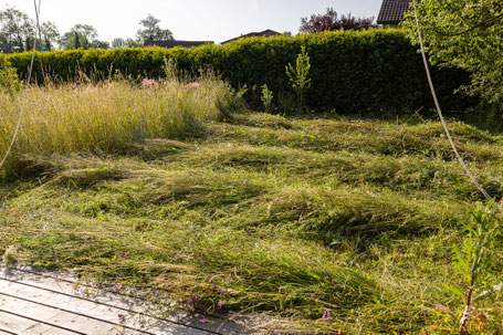 Naturgarten Gartenpflege nachhaltig naturnah