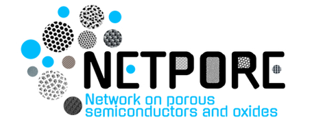 Logo del proyecto NETPORE