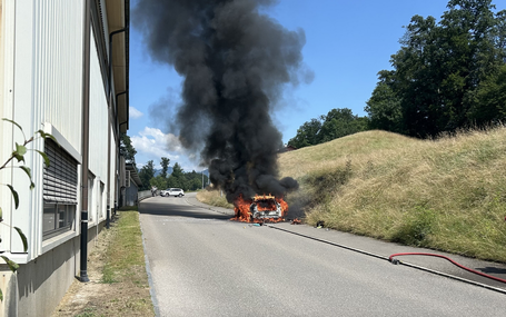 (Bild: KAPO SG)