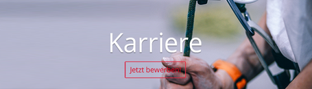 Bild zum Thema Karriere