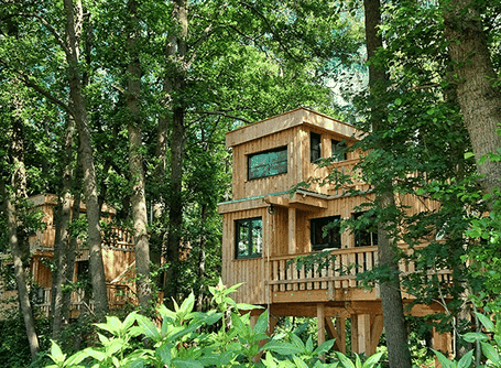 Übernachtung im Baumhaus im Wald 2026