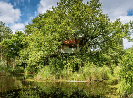 Übernachtung im Baumhaus Baumhausherberge 2026