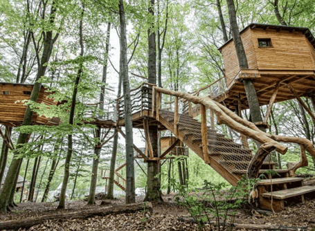 Übernachtung im Baumhaus Baumhausherberge 2026