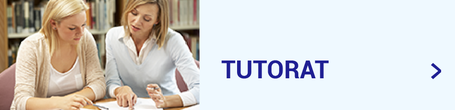 Tutorat de formation au collège CEI