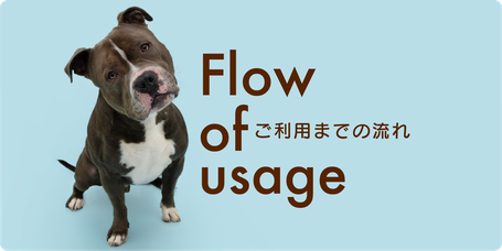 いきものがかり　ご利用