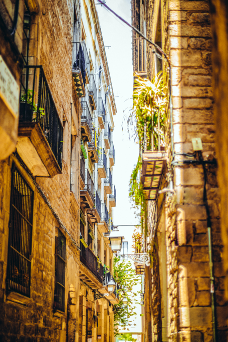 barrigothic-barcelone