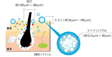 毛穴とウルトラファインバブルの大きさが分かるイメージイラスト