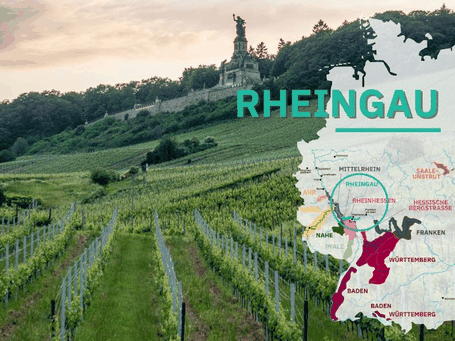 Wijngebieden Duitsland #9 Rheingau