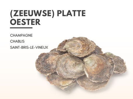 Welke wijn bij zeeuwse platte oester