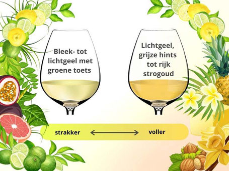 Chardonnay en Sauvignon Blanc kleur