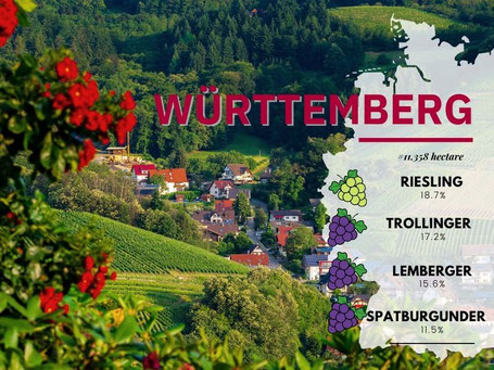 Wijngebieden Duitsland #13 Wurttemberg