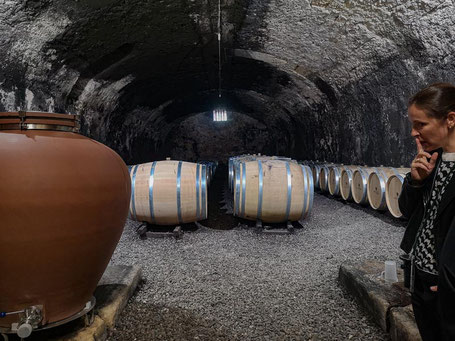 Wijnreis Pays dOc - in de kelders van Domaine de la Provenquiere