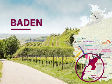 Wijngebieden Duitsland #2 Baden