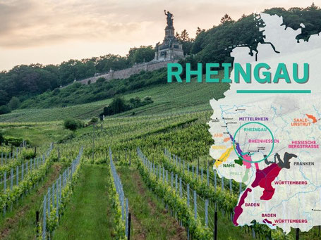 Wijngebieden Duitsland #9 Rheingau